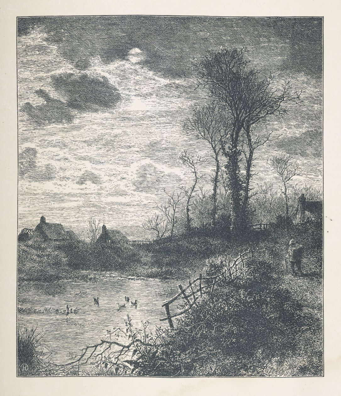 A pond, from 