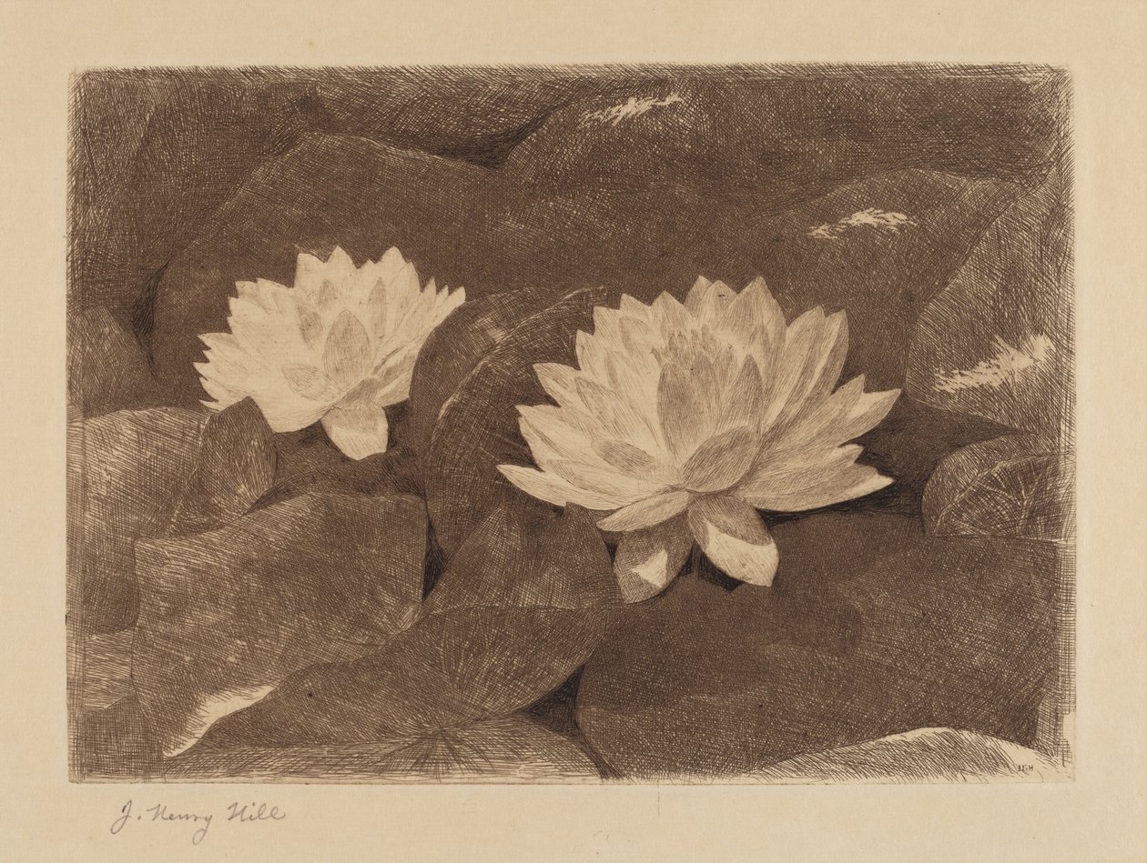 Waterlilies by John Henry Hill