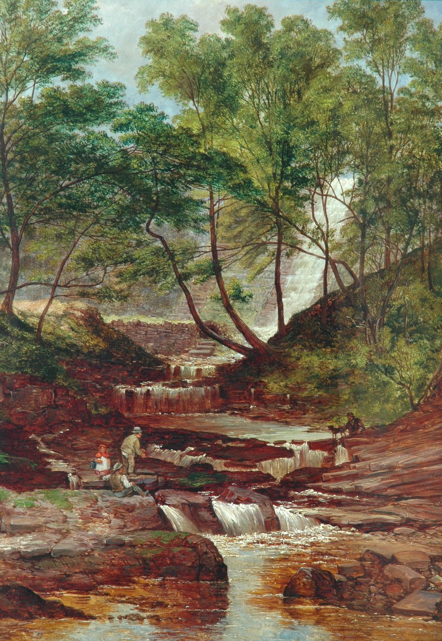 Cat Holes Dam Fall in Todmorden by John Holland