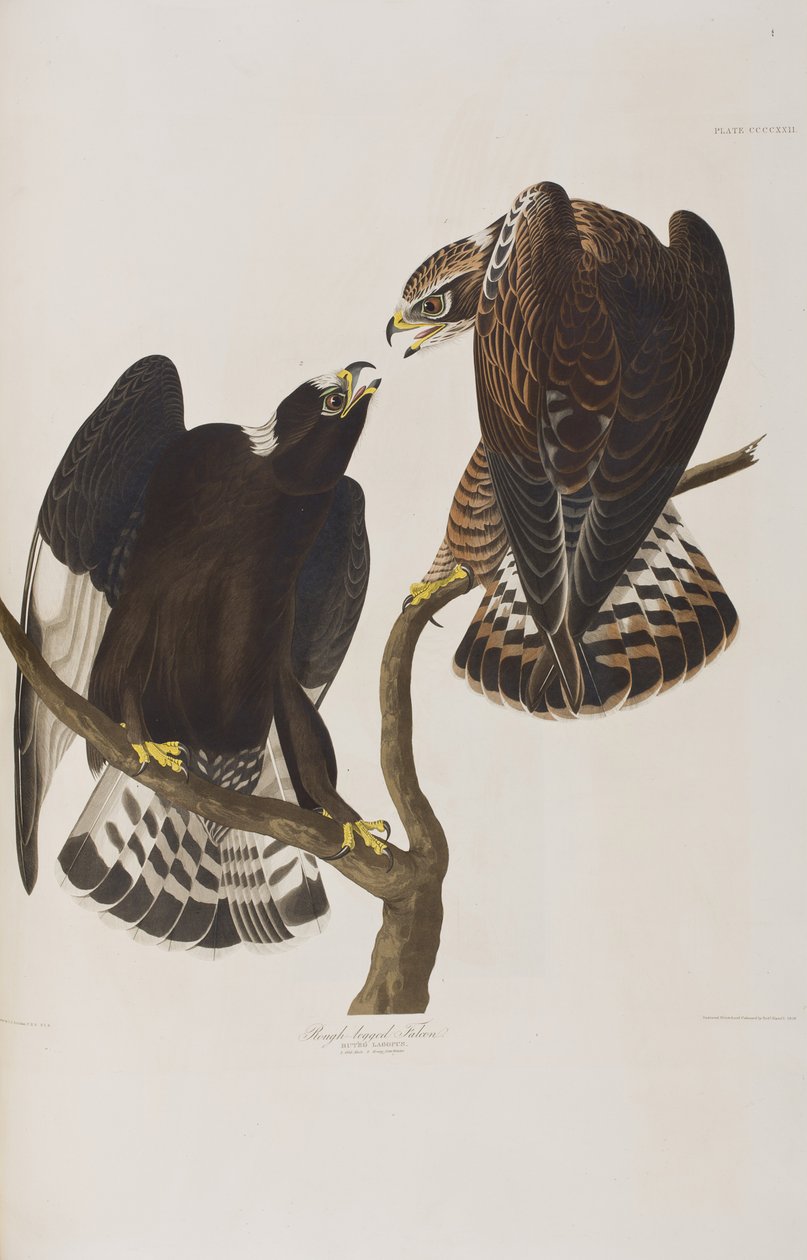Illustration from 