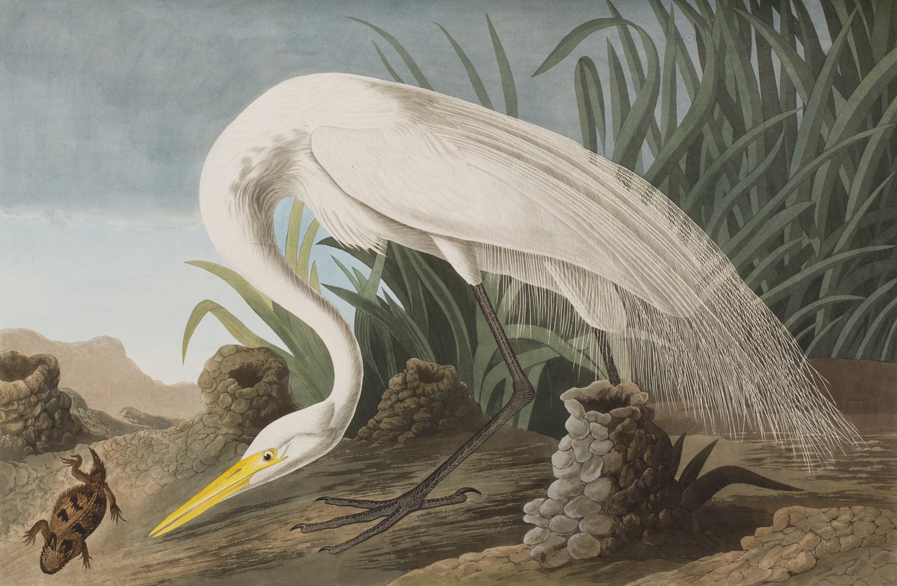 Illustration from 