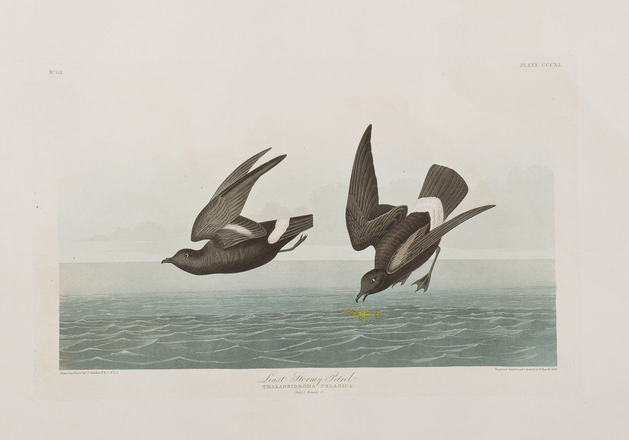 Illustration from 