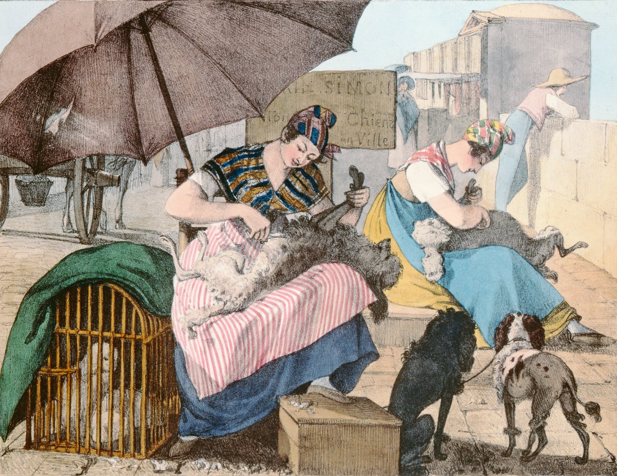 The Dog Groomers by John James Chalon