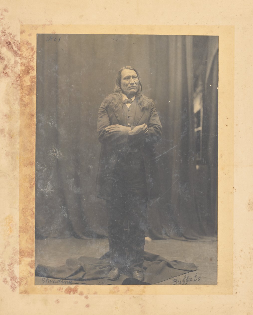 Standing Buffalo by John K. Hillers