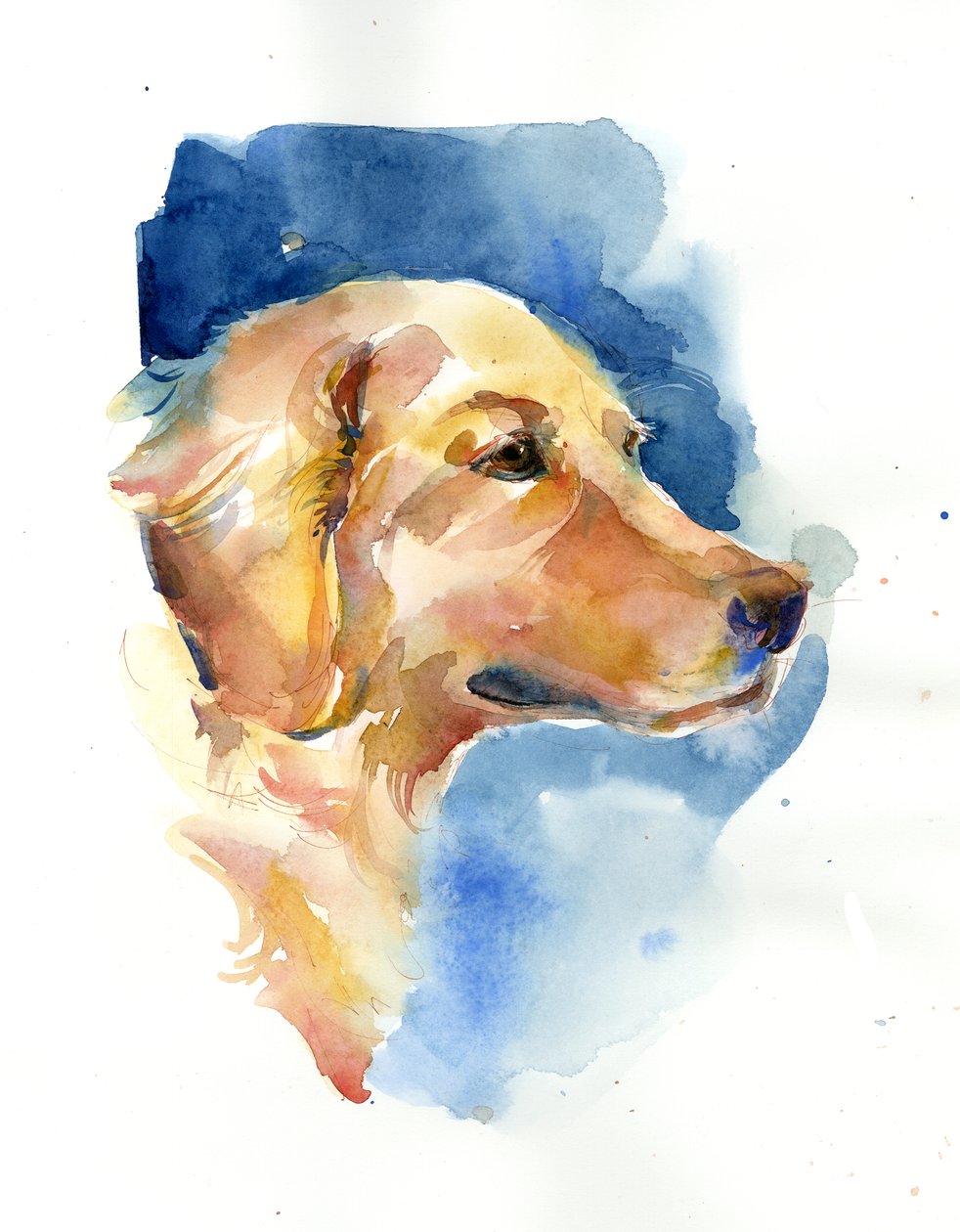 Golden Retriever, 2015 by John Keeling