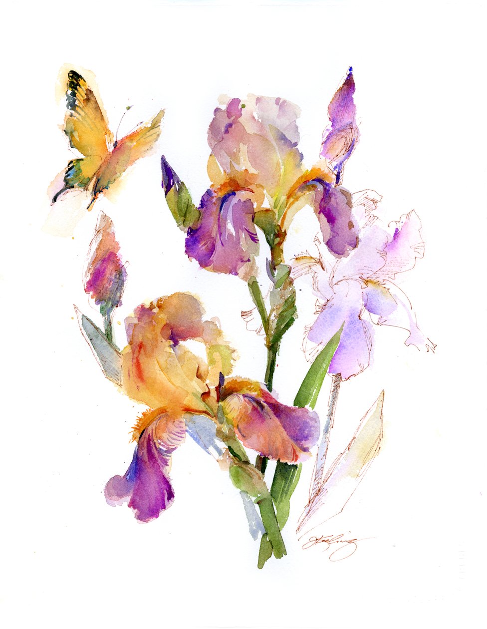 Iris with yellow butterfly, 2016 by John Keeling