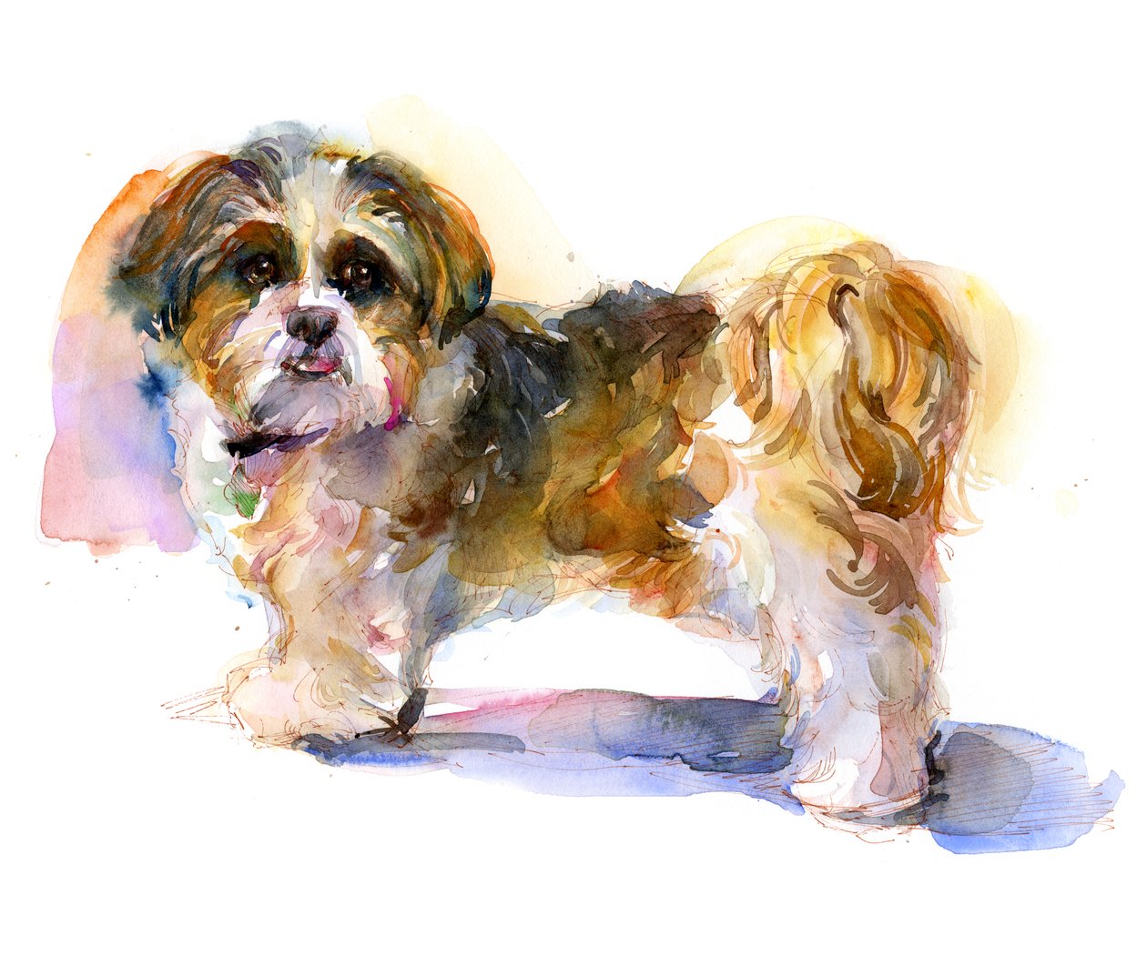 Murphy portrait, 2016 by John Keeling