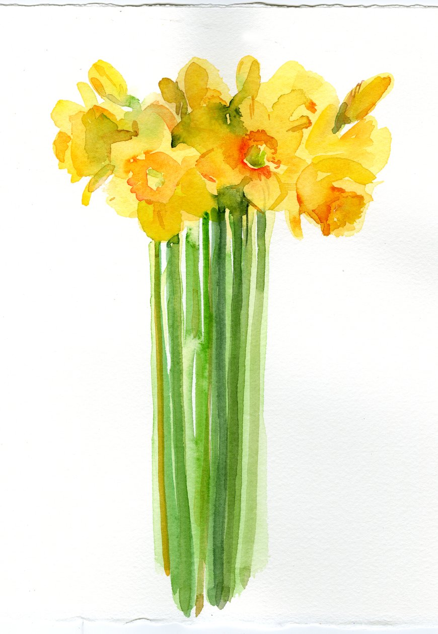Narcissus bunch, 2014 by John Keeling