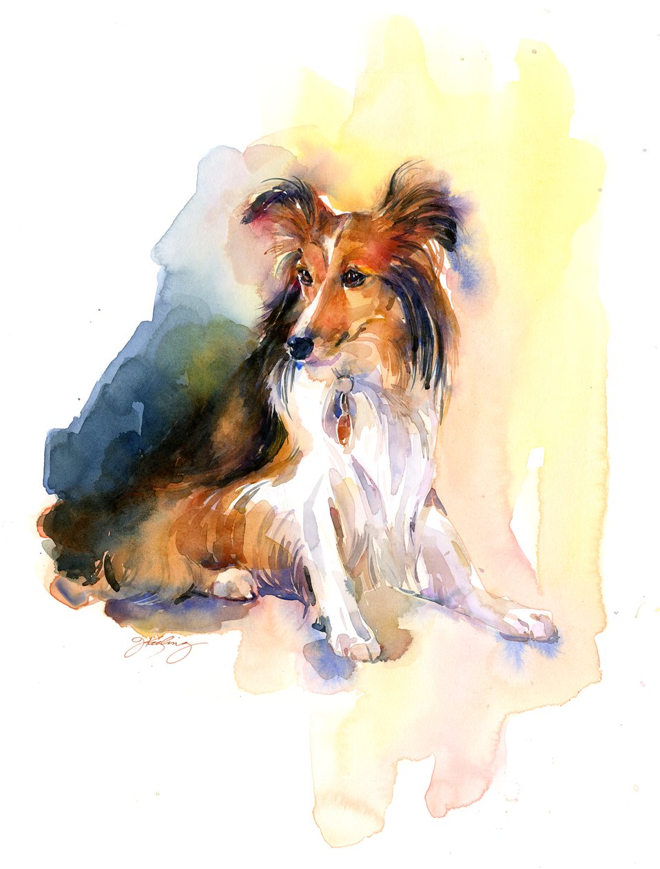 Sheltie portrait, 2015 by John Keeling
