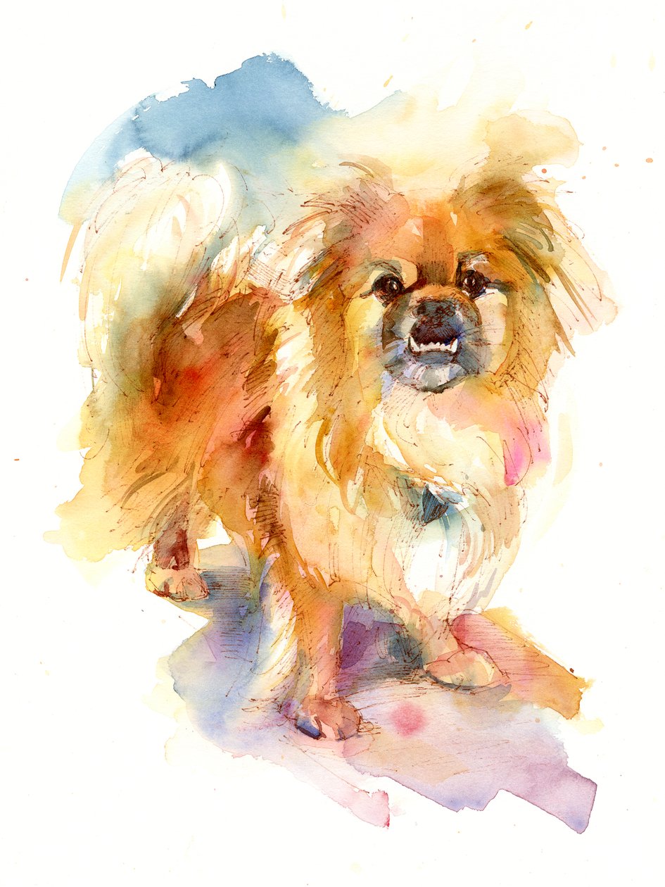 Tipper portrait, 2016 by John Keeling
