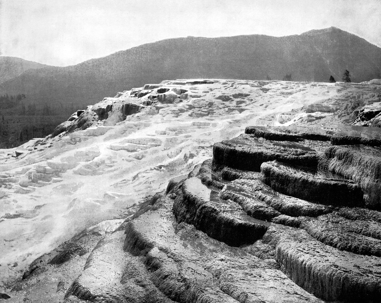 Mammoth Hot Springs, Yellowstone National Park, USA by John L. Stoddard