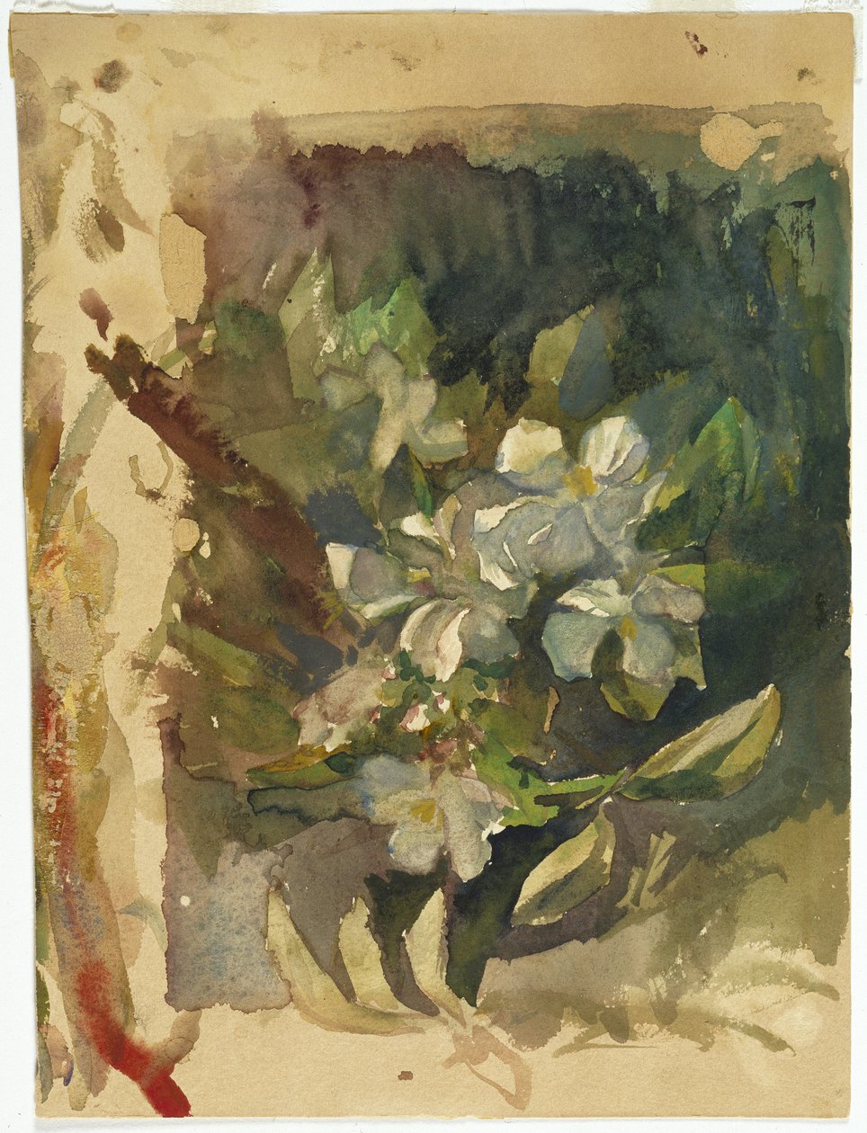 Apple Blossoms in Sunlight by John La Farge or Lafarge