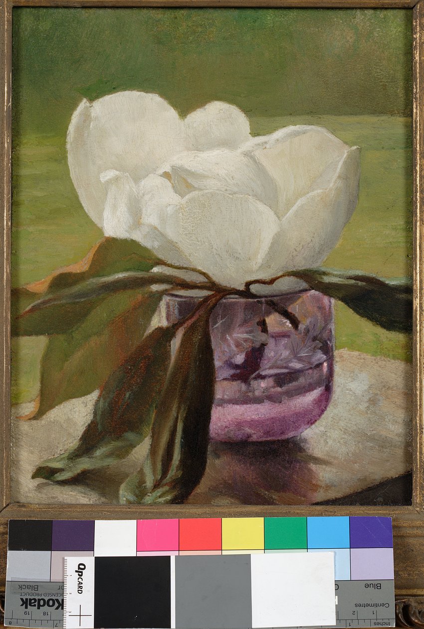 Magnolia Blossom by John La Farge or Lafarge