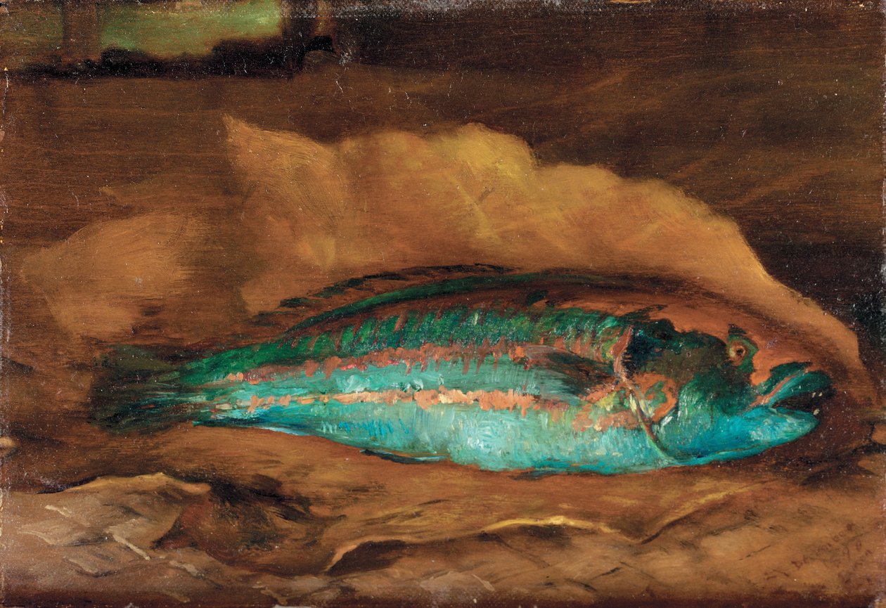 Study of the Parrot Fish, Samoa, 1890 by John La Farge or Lafarge