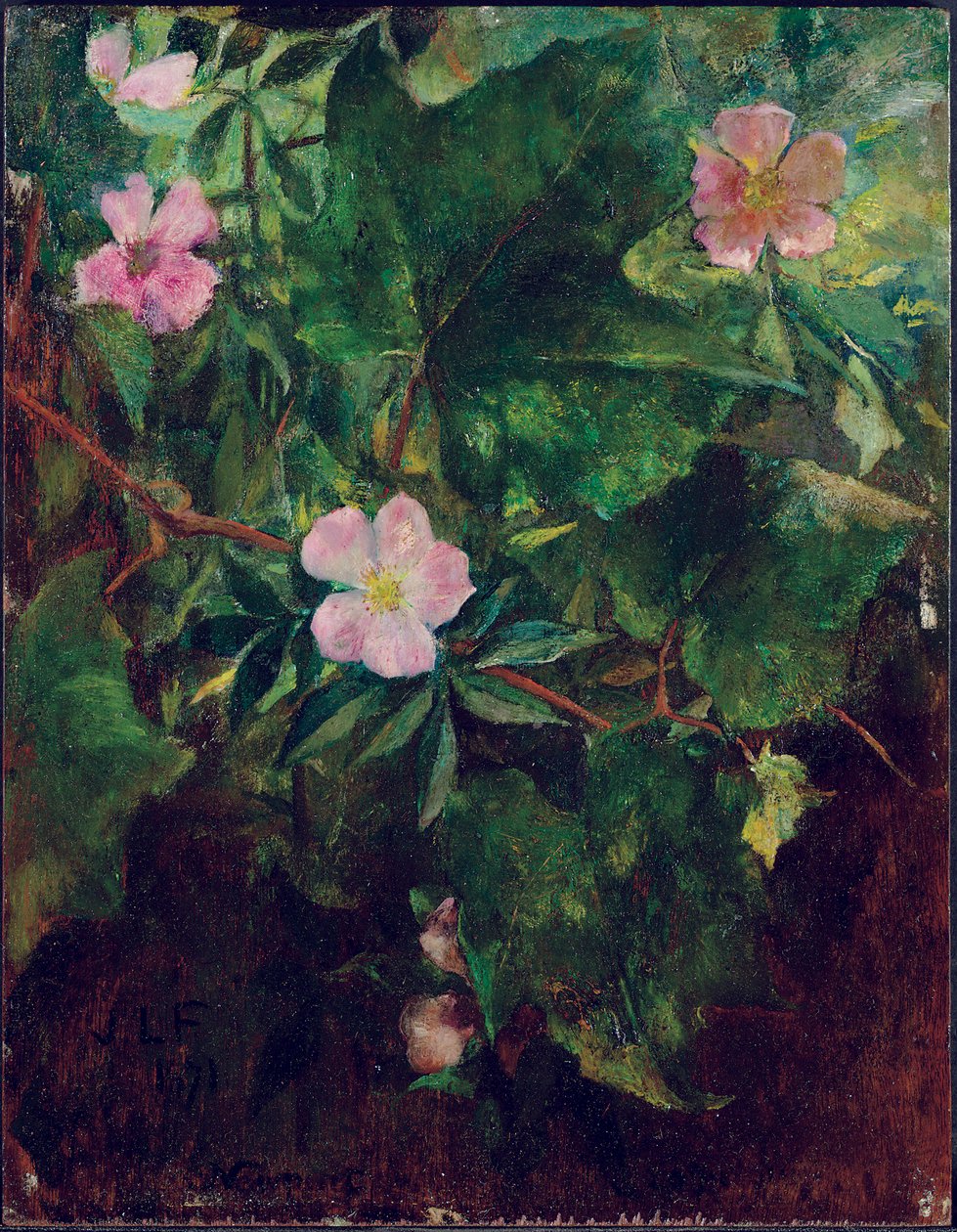 Wild Rose and Grape Vine, Study From Nature by John La Farge or Lafarge