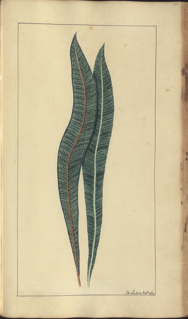 A page from the 