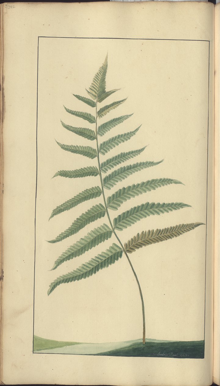 A Page from the 