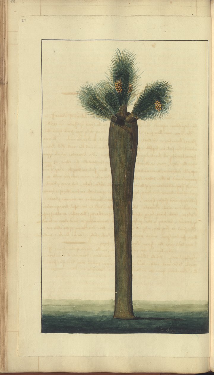 A page from the 