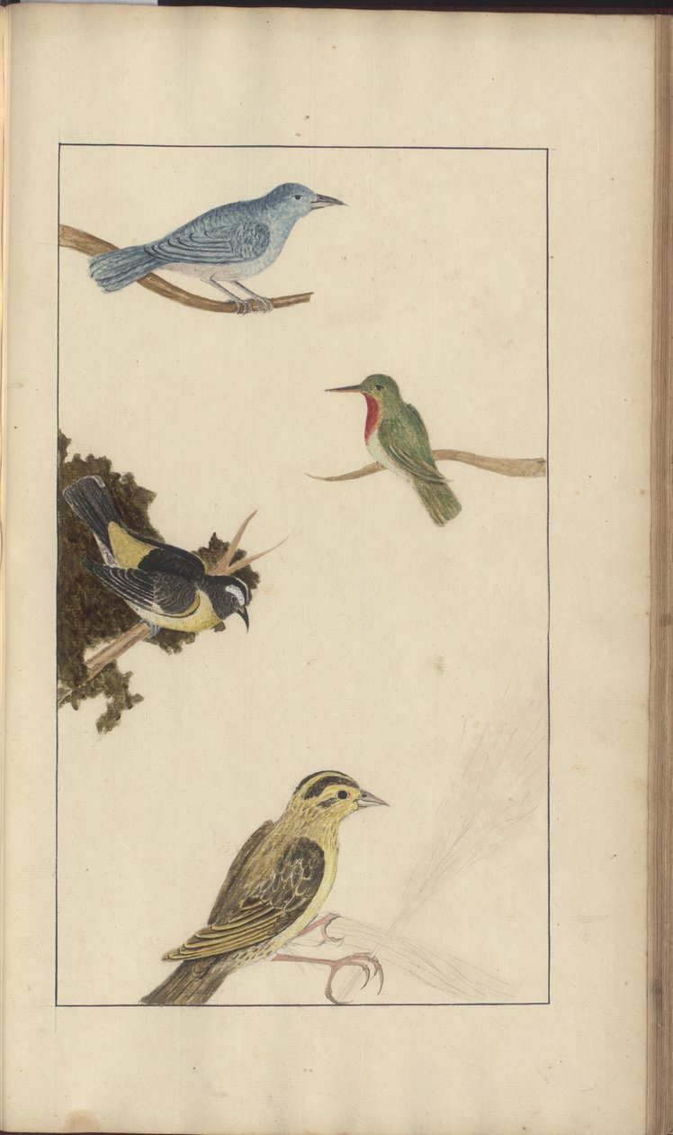 A page from the 