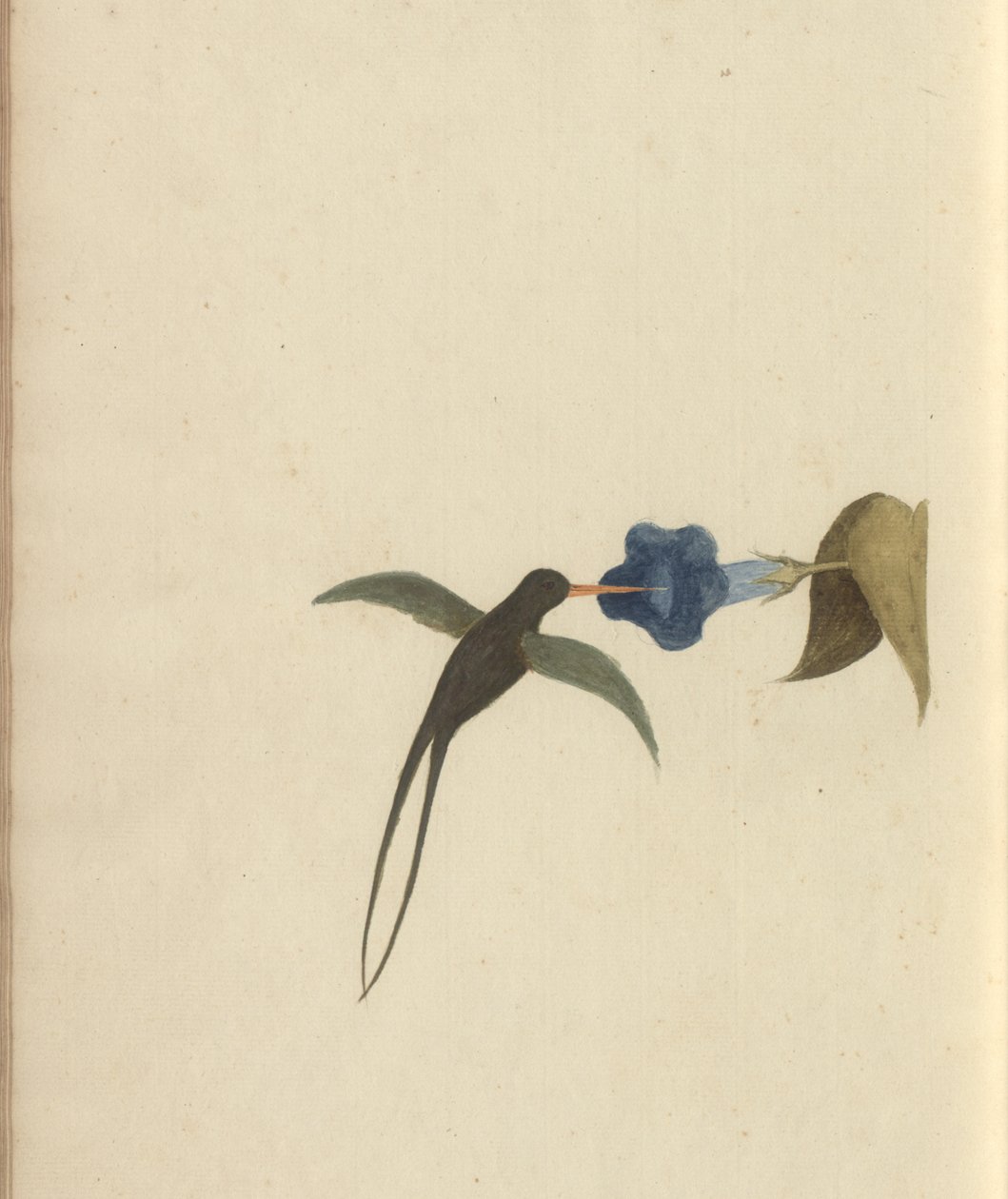 A page from the 
