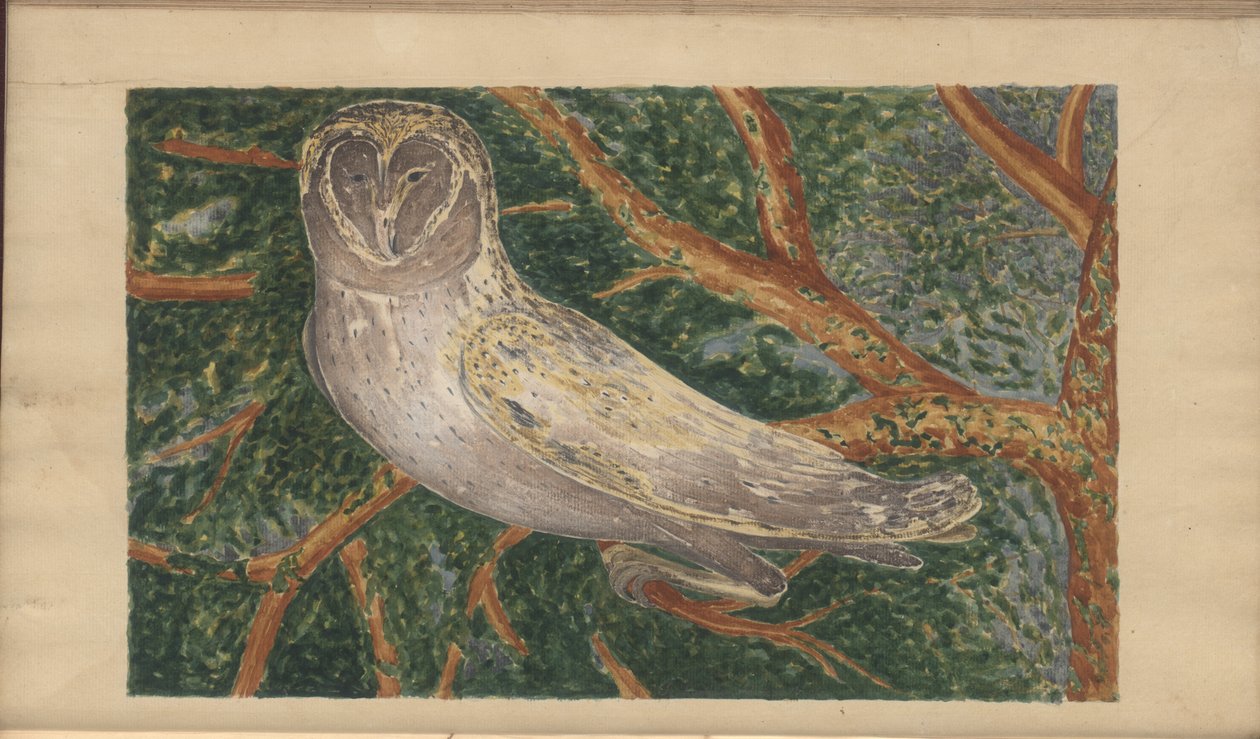 A page from the 