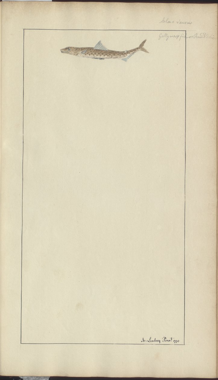 Lindsay Drawings Vol. VII, 23 by John Lindsay
