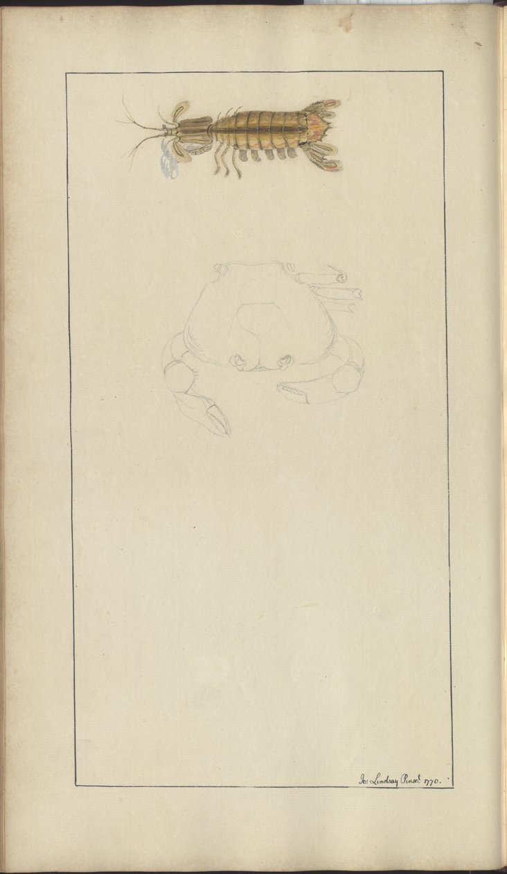 Lindsay Drawings Vol. VII, 24 by John Lindsay