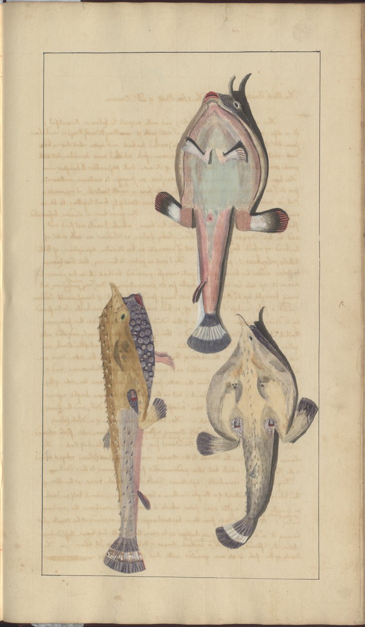 Lindsay Drawings Vol. VII, 27 by John Lindsay