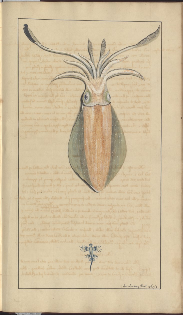 Lindsay Drawings Vol. VII, 29 by John Lindsay