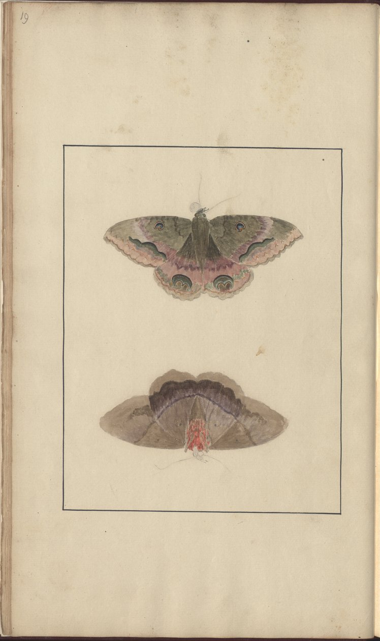 Lindsay Drawings Vol. VI by John Lindsay