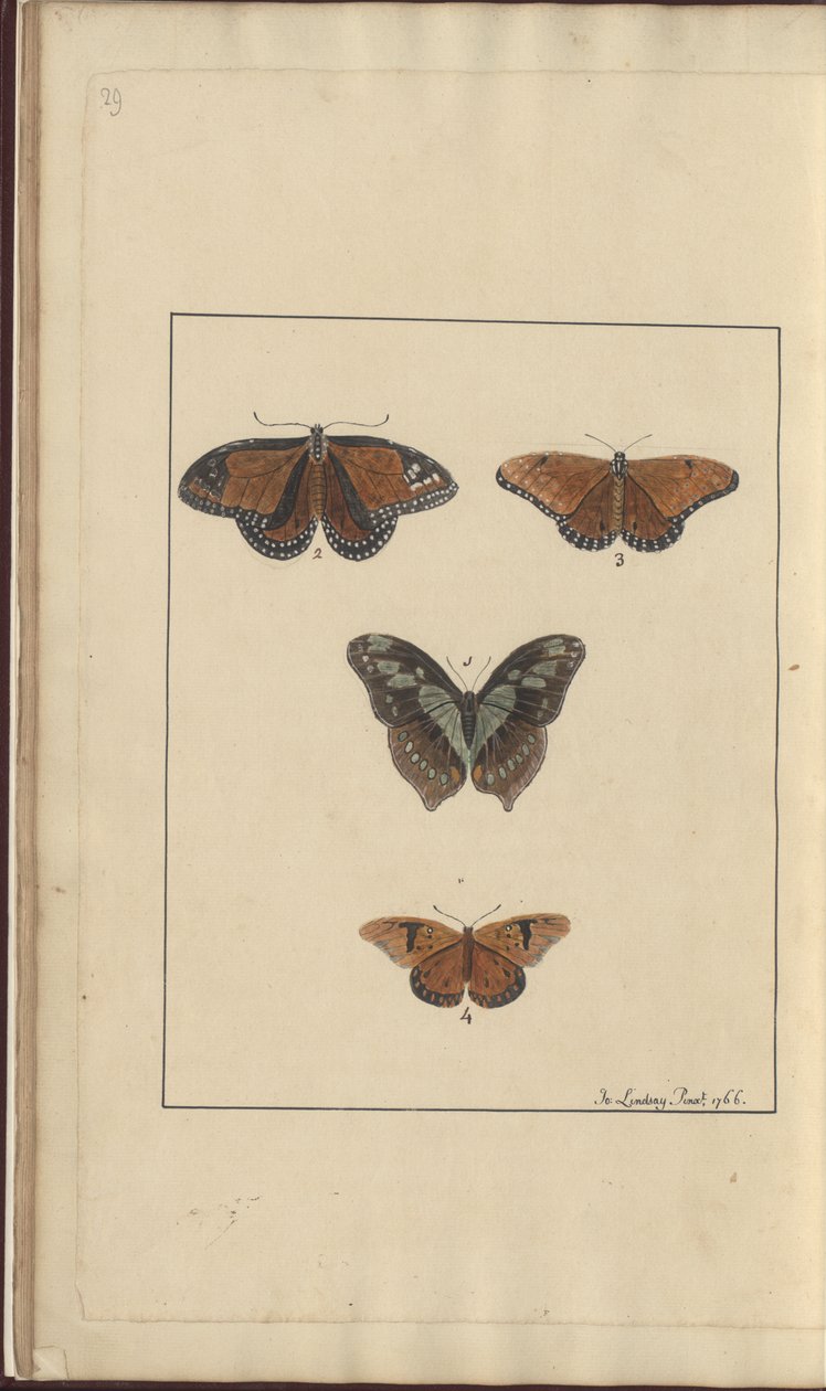 Lindsay Drawings Vol. VI, 29 by John Lindsay