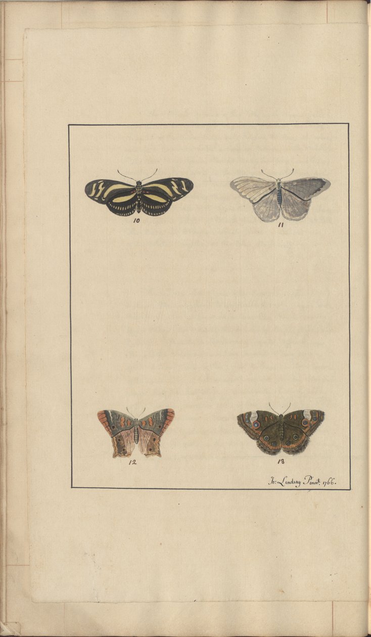 Lindsay Drawings Vol. VI, 35 by John Lindsay
