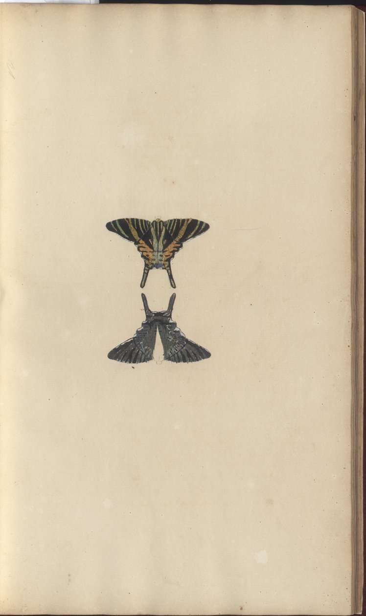 Lindsay Drawings Vol. VI, 48 by John Lindsay