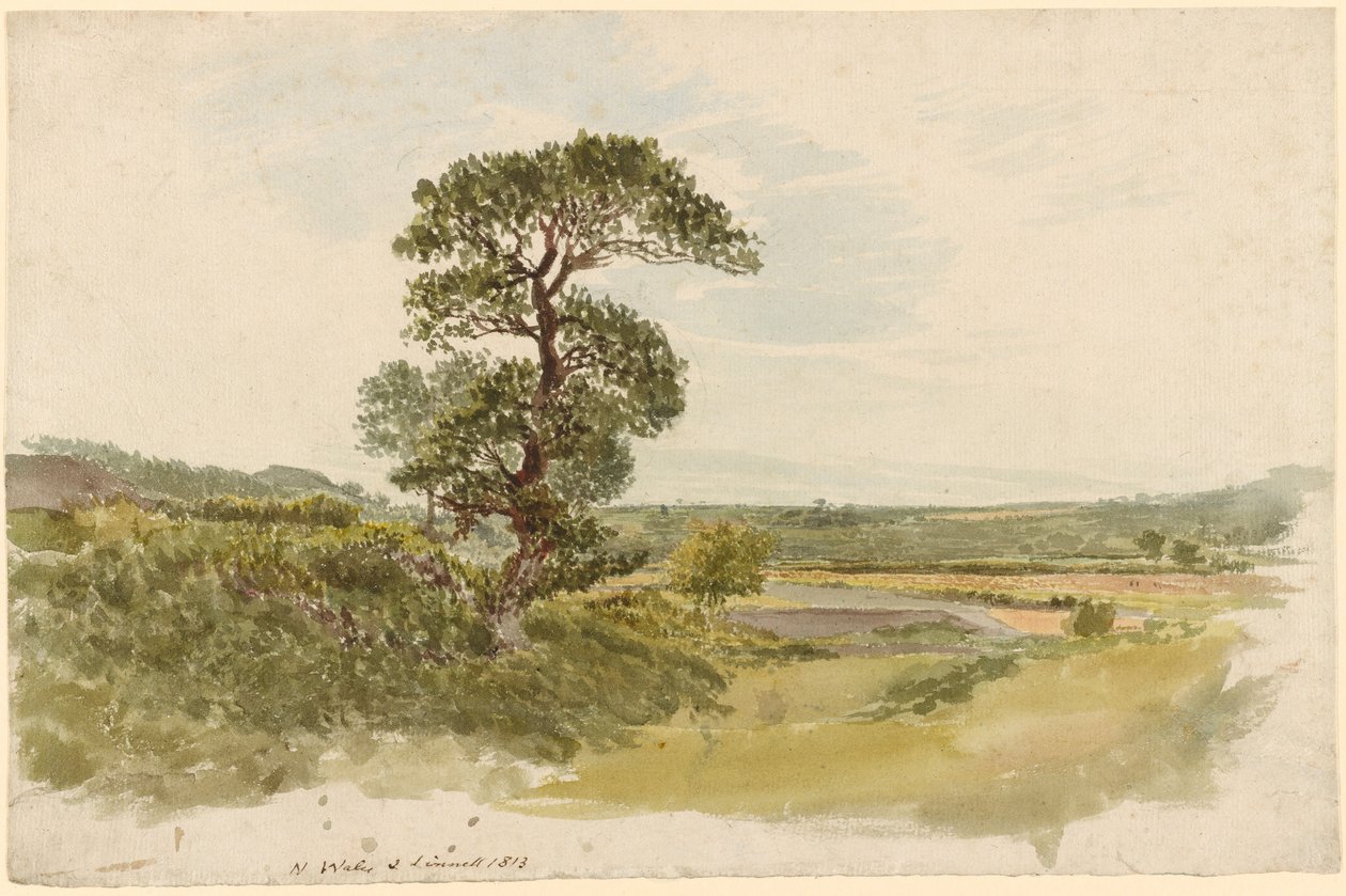 A Landscape in Snowdonia with a Tree in the Foreground by John Linnell