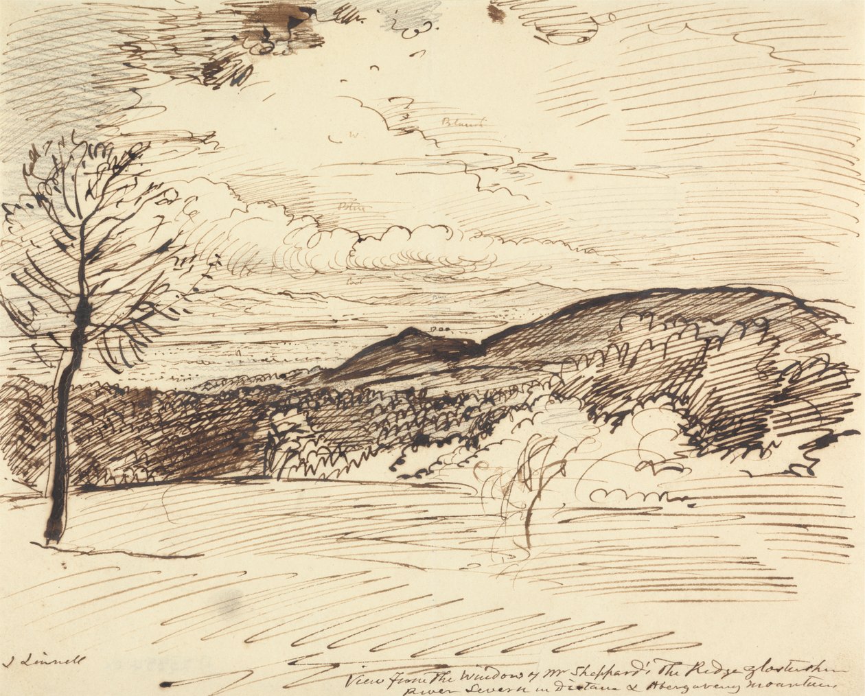 View from Mr. Sheppard