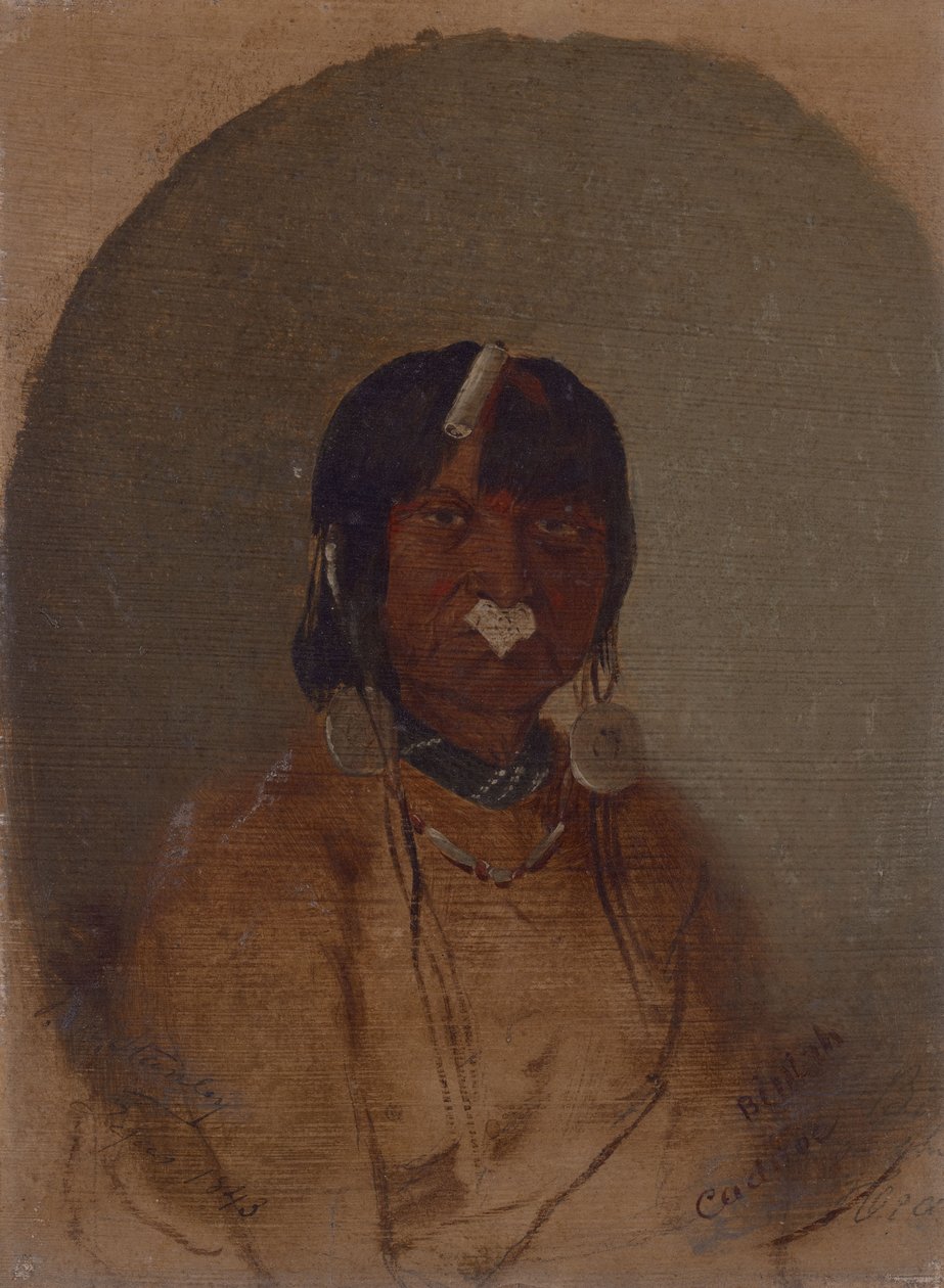 Bin-Tah, The Wounded Man by John Mix Stanley