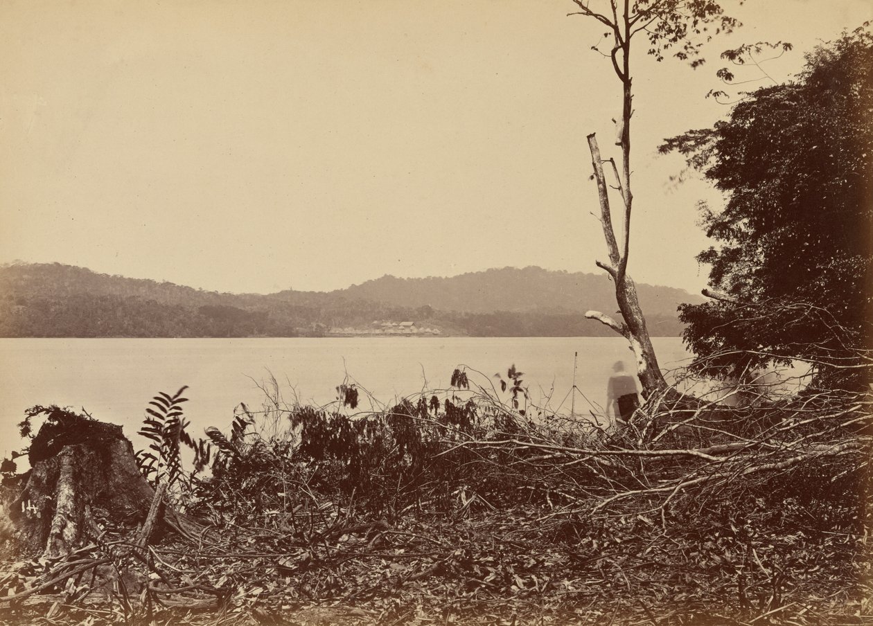 Darien Harbor, Chipigana, 1871 by John Moran