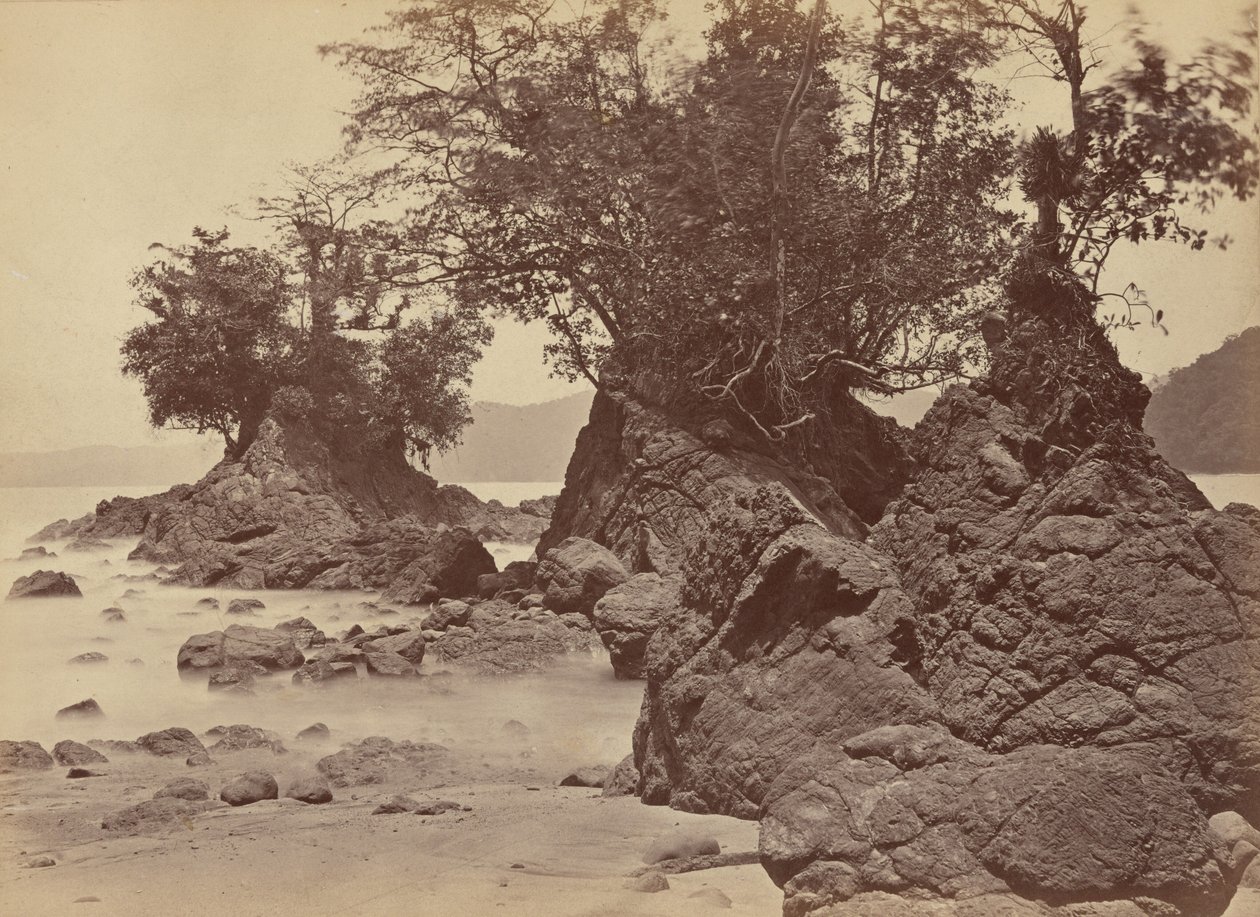 Islands, Limon Bay, 1871 by John Moran
