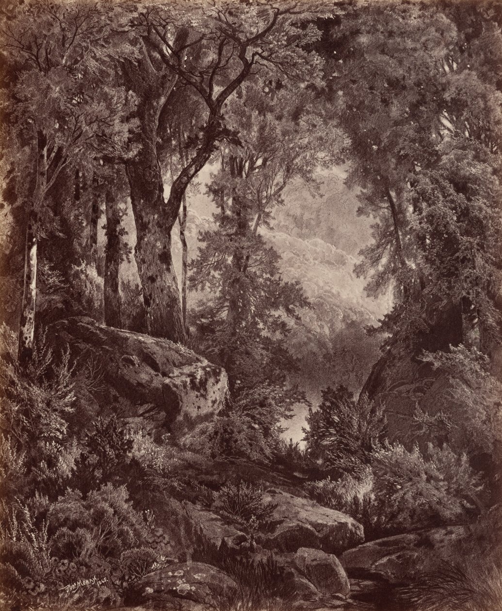 Solitude, 1865 by John Moran