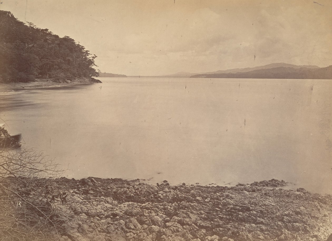 Tropical Scenery, Darien Harbor - Looking South by John Moran