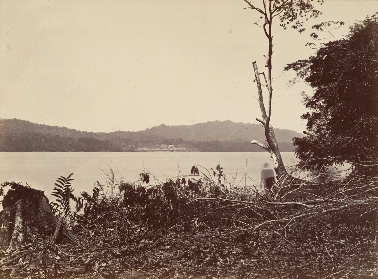 Tropical Scenery, Darien Harbor, Chipigana, 1871 by John Moran