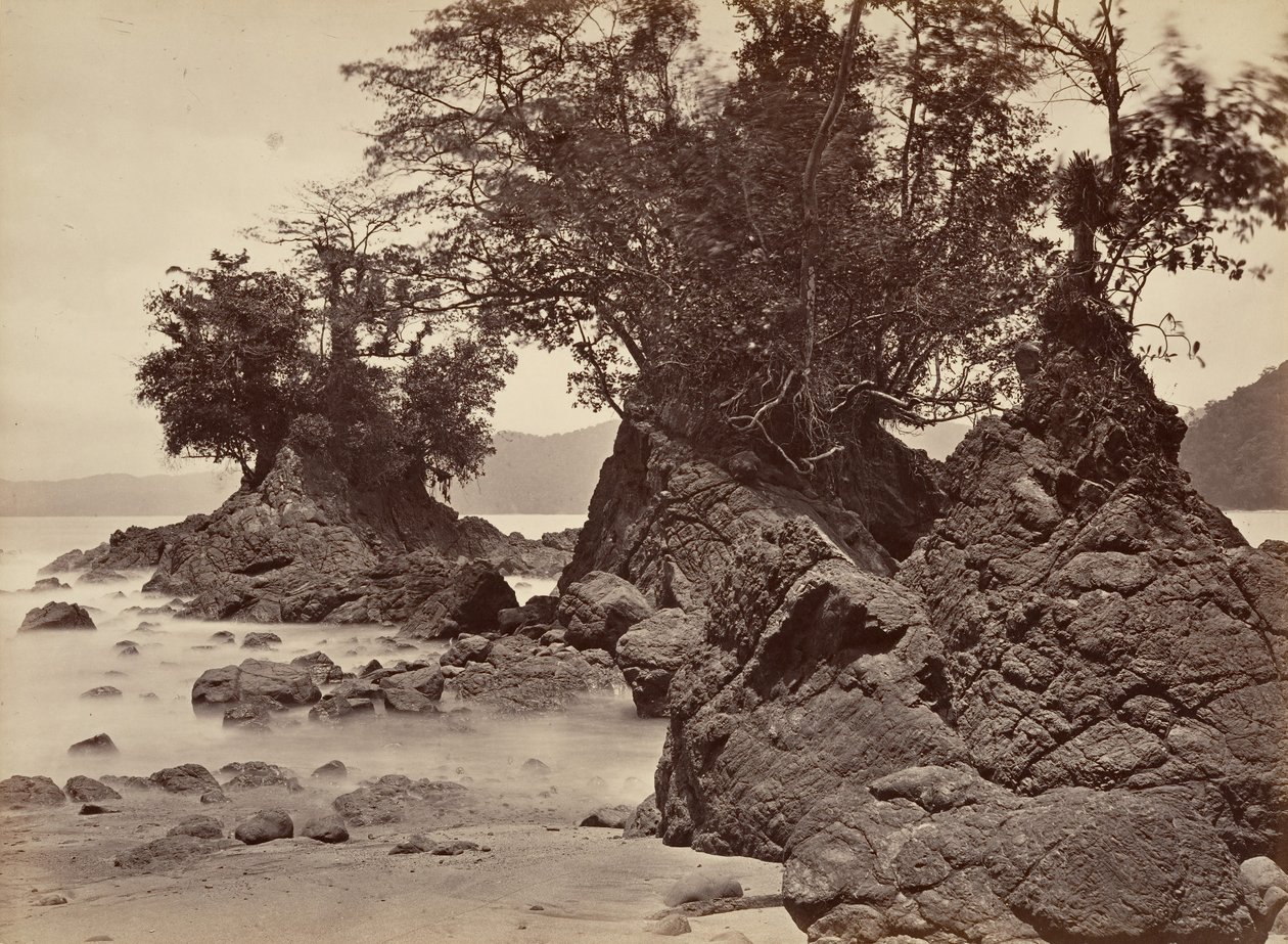 Tropical Scenery, Limon Bay - Low Tide, 1871 by John Moran