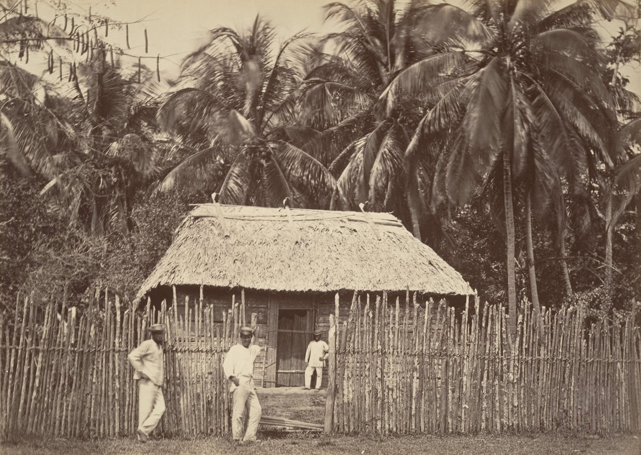 Tropical Scenery, Native Hut, Turbo, 1871 by John Moran