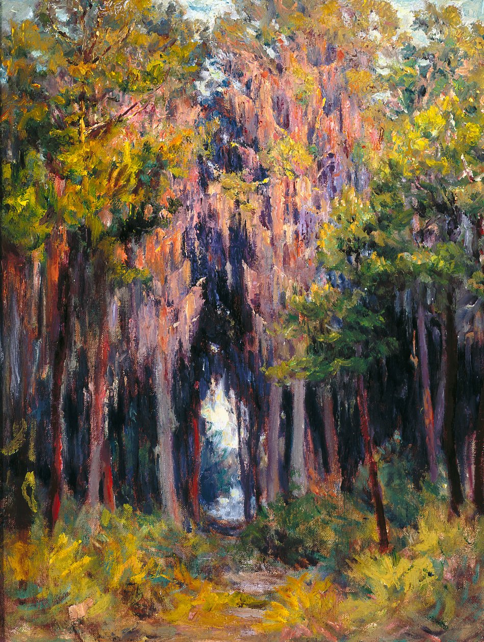Hanging Moss, St. Petersburg by John Otis Adams