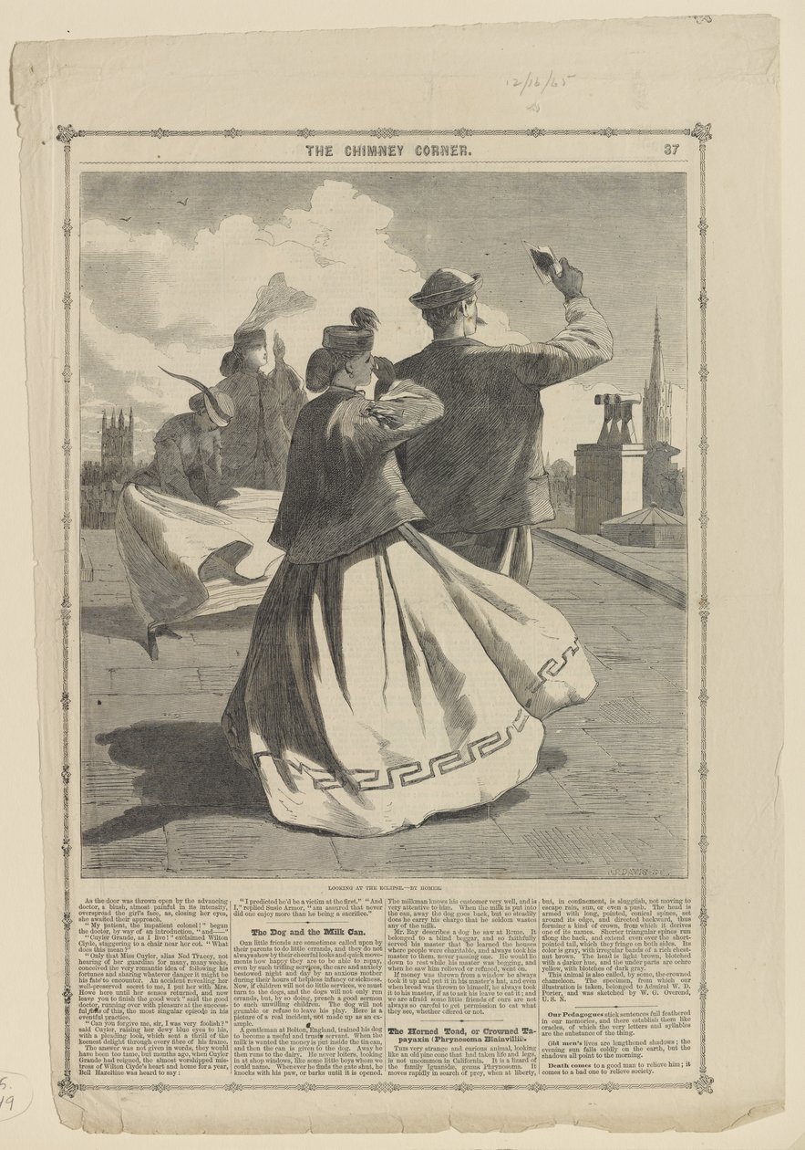 Looking at the Eclipse, p. 37 from Frank Leslie