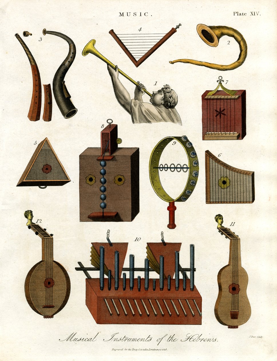 Musical Instruments of the Hebrews by John Pass