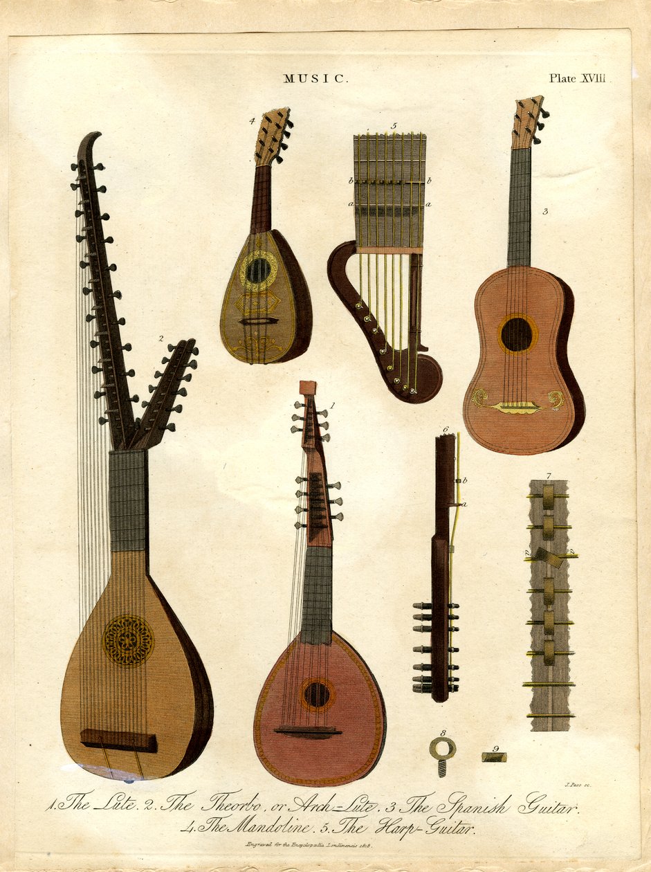 The Lute, The Theorbo or Arch-Lute, The Spanish Guitar, The Mandoline, The Harp-Guitar by John Pass