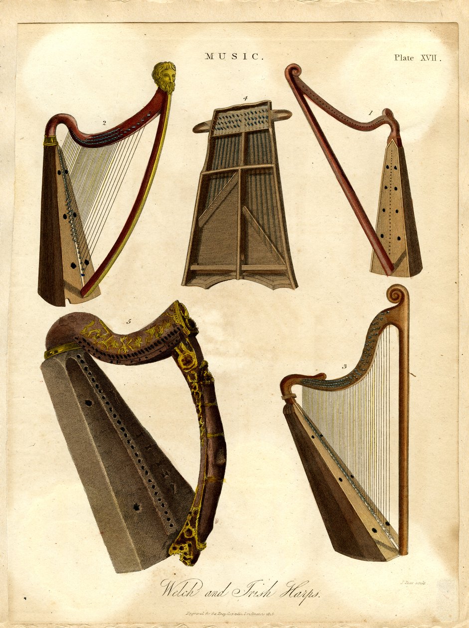 Welsh and Irish Harps by John Pass