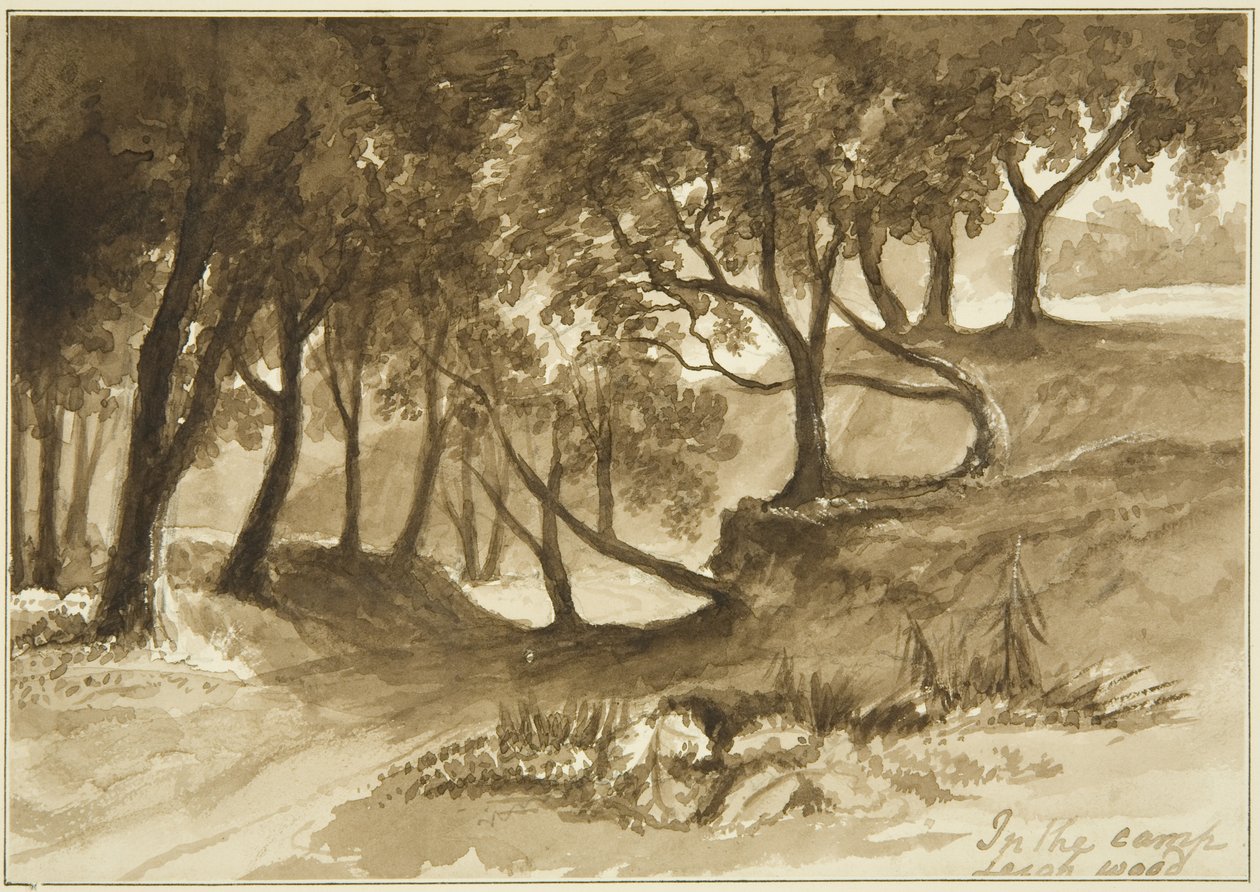 View in the Burwalls Camp, Leigh Woods by John Reverend Eden