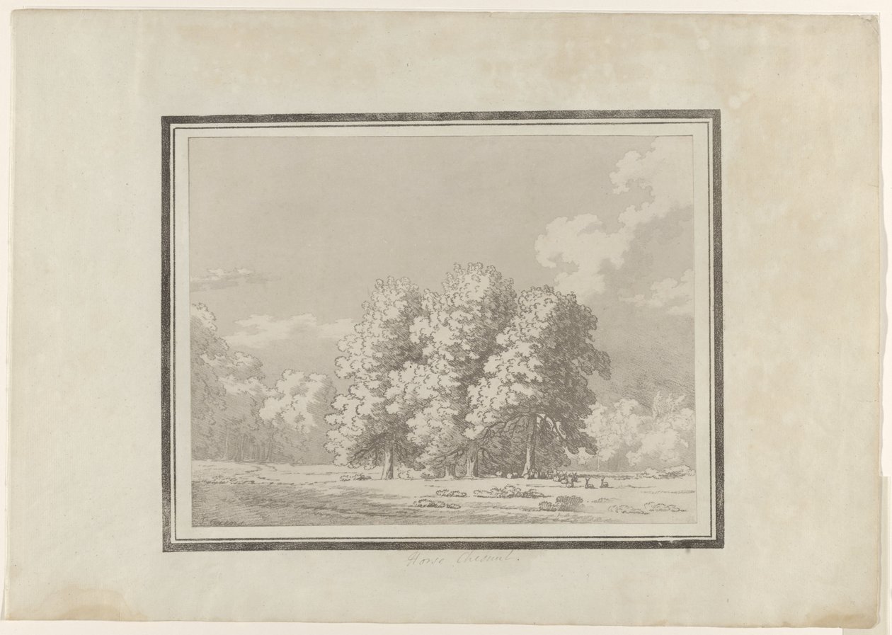 Horse Chestnut by John Robert Cozens